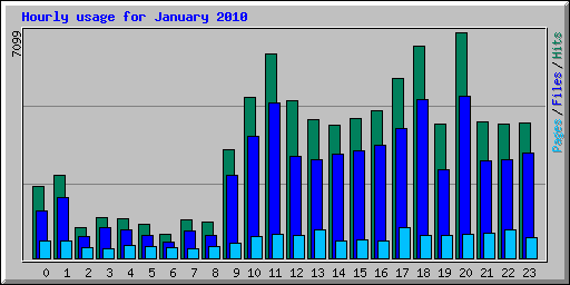 Hourly usage for January 2010