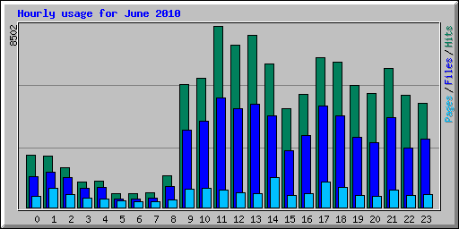 Hourly usage for June 2010