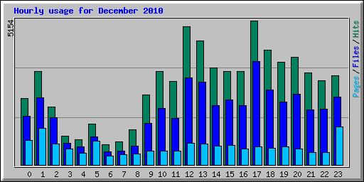 Hourly usage for December 2010