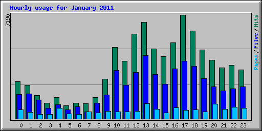 Hourly usage for January 2011