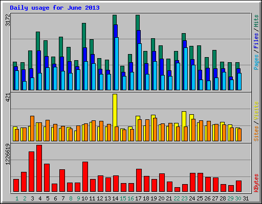 Daily usage for June 2013