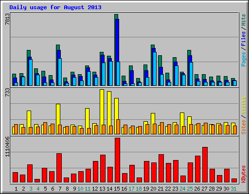Daily usage for August 2013
