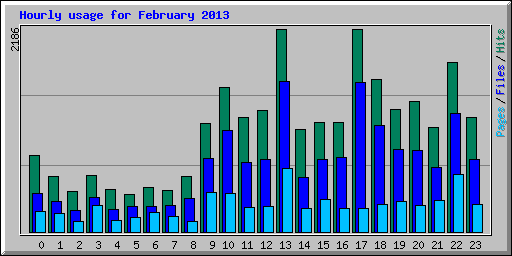 Hourly usage for February 2013