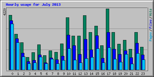 Hourly usage for July 2013
