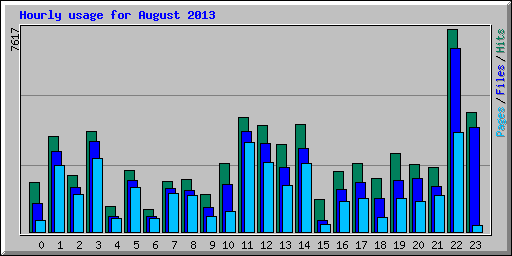 Hourly usage for August 2013