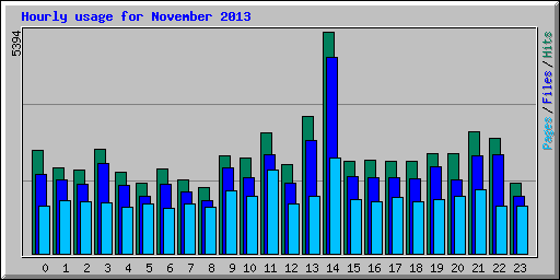 Hourly usage for November 2013